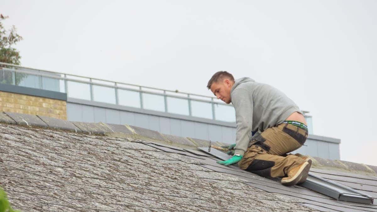 How to Actually Verify a Roofing Contractor's Insurance in Texas (Not Just Ask) - Texas hail corridor roofing guidance