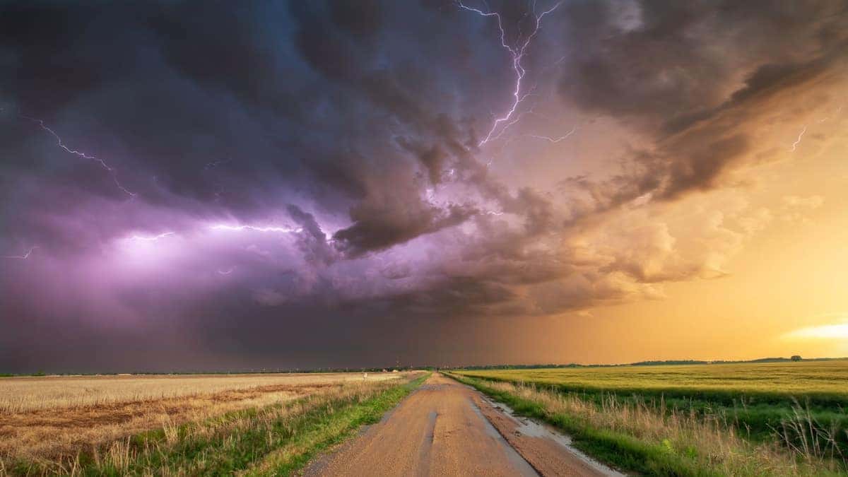 Wind Damage vs. Hail Damage: How to Tell the Difference (And Why Insurers Care) - Texas hail corridor roofing guidance